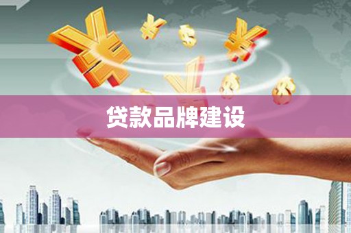 新埤贷款品牌建设