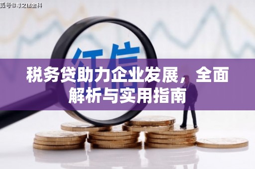 新埤税务贷助力企业发展，全面解析与实用指南