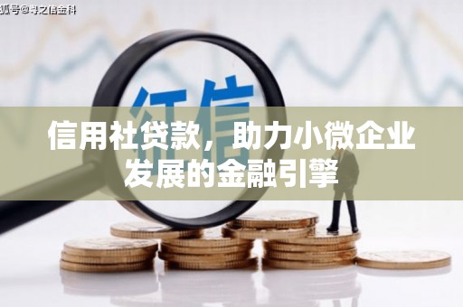 新埤信用社贷款，助力小微企业发展的金融引擎