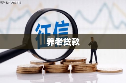 新埤养老贷款