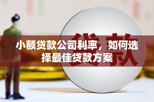新埤小额贷款公司利率，如何选择最佳贷款方案