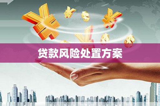 新埤贷款风险处置方案