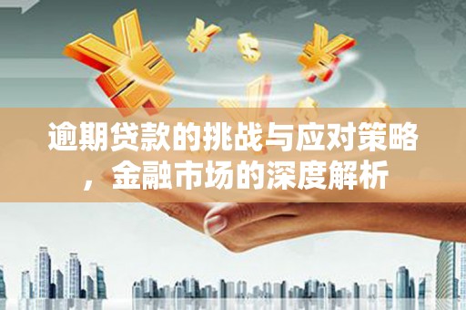 新埤逾期贷款的挑战与应对策略，金融市场的深度解析