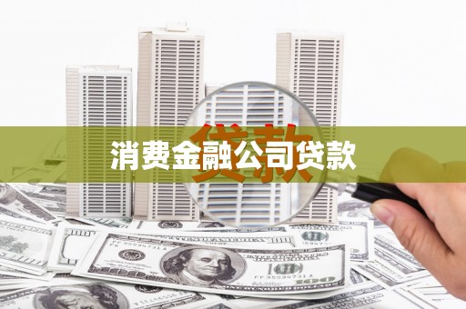 新埤消费金融公司贷款
