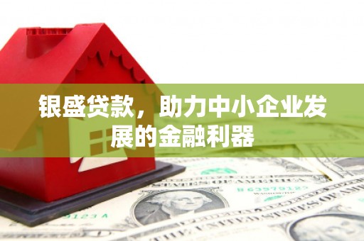 新埤银盛贷款，助力中小企业发展的金融利器