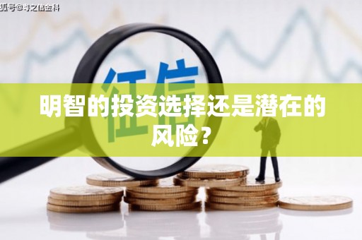 新埤明智的投资选择还是潜在的风险？