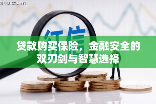 新埤贷款购买保险，金融安全的双刃剑与智慧选择