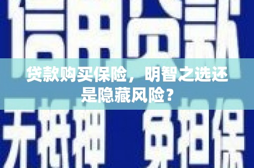 新埤贷款购买保险，明智之选还是隐藏风险？