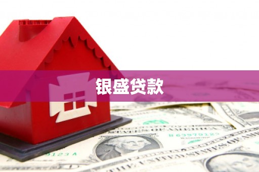 新埤银盛贷款