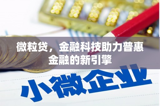 新埤微粒贷，金融科技助力普惠金融的新引擎