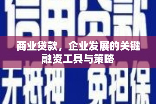 新埤商业贷款，企业发展的关键融资工具与策略