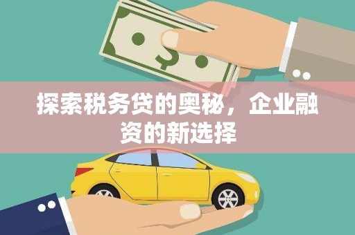 新埤探索税务贷的奥秘，企业融资的新选择