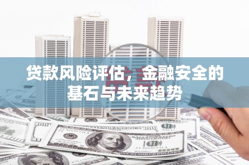 新埤贷款风险评估，金融安全的基石与未来趋势