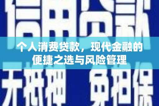 新埤个人消费贷款，现代金融的便捷之选与风险管理