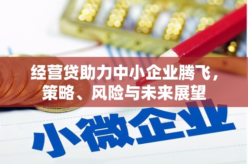 新埤经营贷助力中小企业腾飞，策略、风险与未来展望