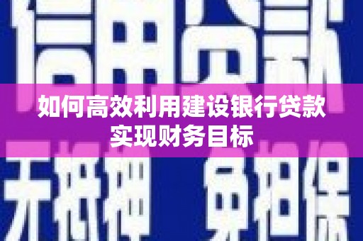 新埤如何高效利用建设银行贷款实现财务目标