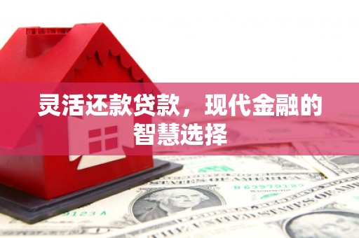 新埤灵活还款贷款，现代金融的智慧选择