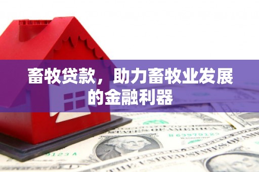 新埤畜牧贷款，助力畜牧业发展的金融利器