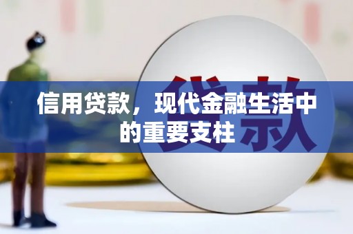 新埤信用贷款，现代金融生活中的重要支柱