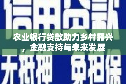 新埤农业银行贷款助力乡村振兴，金融支持与未来发展