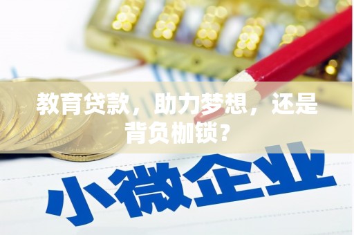 新埤教育贷款，助力梦想，还是背负枷锁？