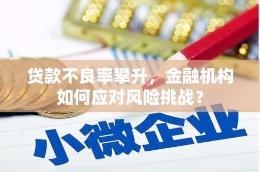 新埤贷款不良率攀升，金融机构如何应对风险挑战？