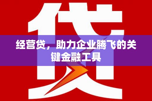 新埤经营贷，助力企业腾飞的关键金融工具