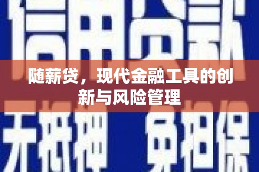 新埤随薪贷，现代金融工具的创新与风险管理