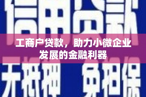 新埤工商户贷款，助力小微企业发展的金融利器