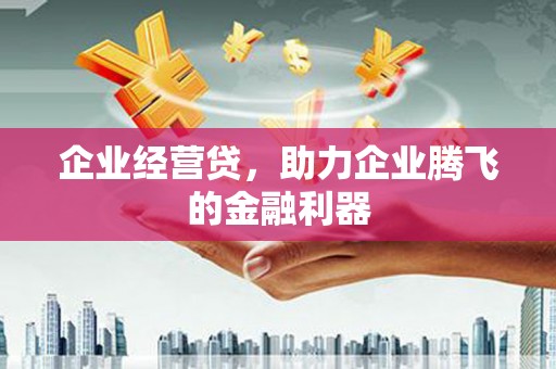 新埤企业经营贷，助力企业腾飞的金融利器