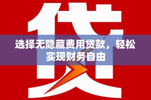 新埤选择无隐藏费用贷款，轻松实现财务自由