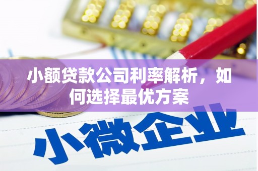 新埤小额贷款公司利率解析，如何选择最优方案