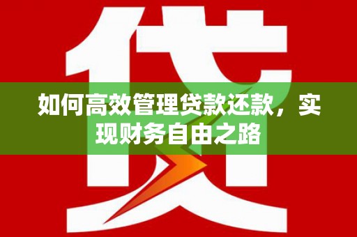 新埤如何高效管理贷款还款，实现财务自由之路