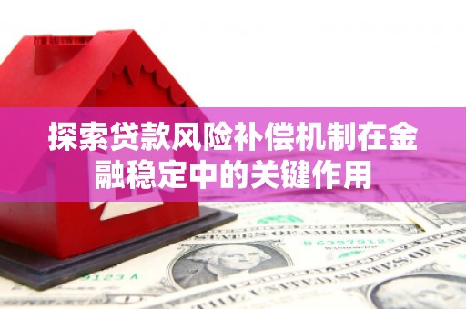 新埤探索贷款风险补偿机制在金融稳定中的关键作用