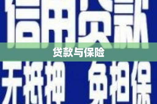 新埤贷款与保险