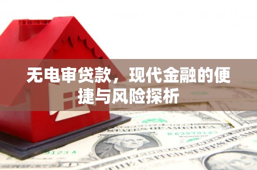 新埤无电审贷款，现代金融的便捷与风险探析