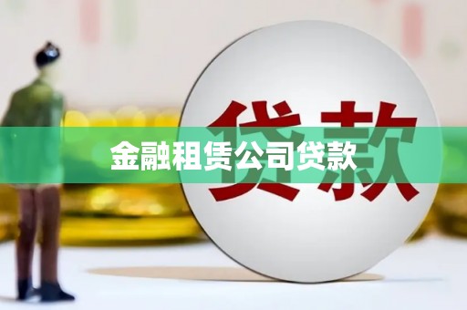 新埤金融租赁公司贷款