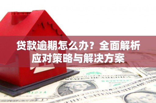 新埤贷款逾期怎么办？全面解析应对策略与解决方案