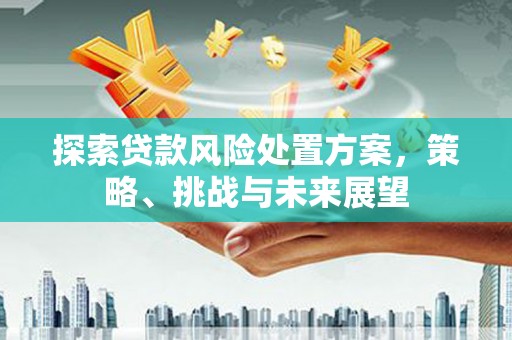 新埤探索贷款风险处置方案，策略、挑战与未来展望
