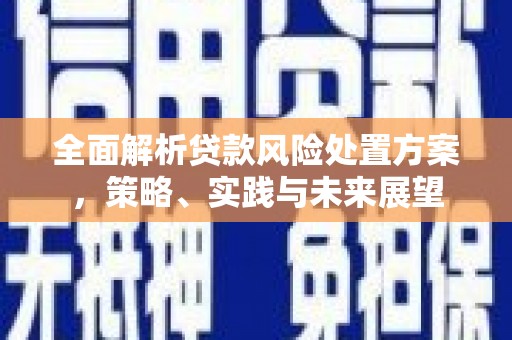 新埤全面解析贷款风险处置方案，策略、实践与未来展望