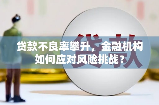 新埤贷款不良率攀升，金融机构如何应对风险挑战？