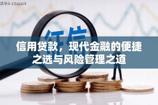 新埤信用贷款，现代金融的便捷之选与风险管理之道