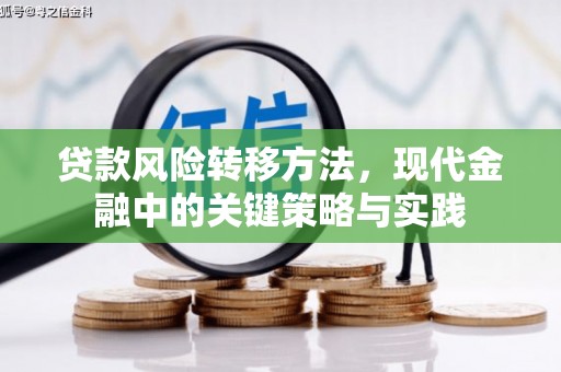 新埤贷款风险转移方法，现代金融中的关键策略与实践