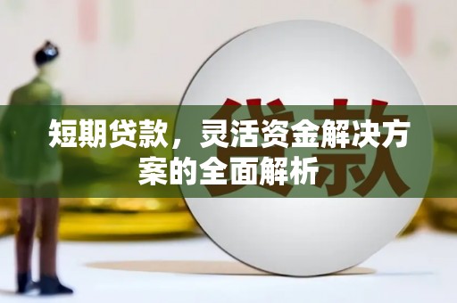 新埤短期贷款，灵活资金解决方案的全面解析