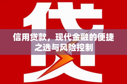 新埤信用贷款，现代金融的便捷之选与风险控制
