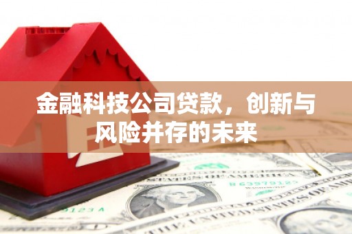 新埤金融科技公司贷款，创新与风险并存的未来