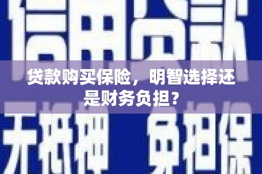 新埤贷款购买保险，明智选择还是财务负担？