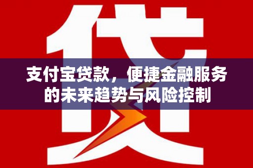 新埤支付宝贷款，便捷金融服务的未来趋势与风险控制