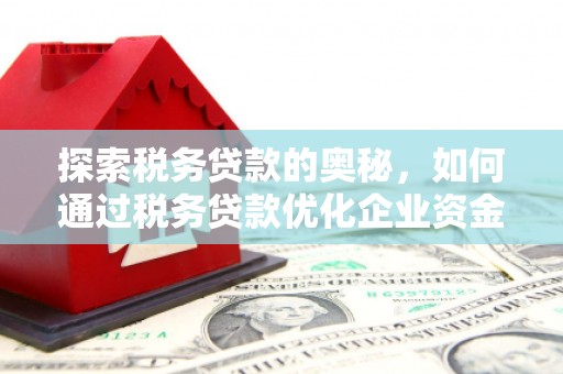 新埤探索税务贷款的奥秘，如何通过税务贷款优化企业资金流