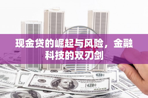 新埤现金贷的崛起与风险，金融科技的双刃剑